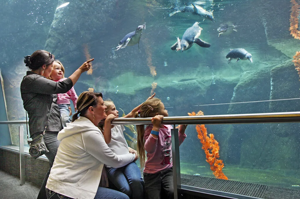 Antarctic Centre Picture 2