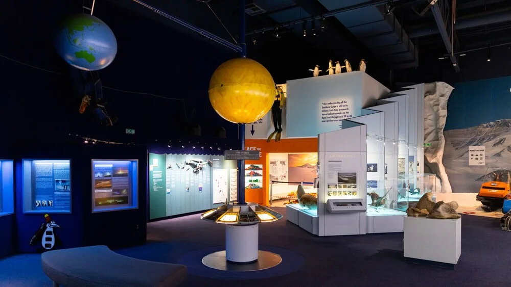 Antarctic Centre Picture 3