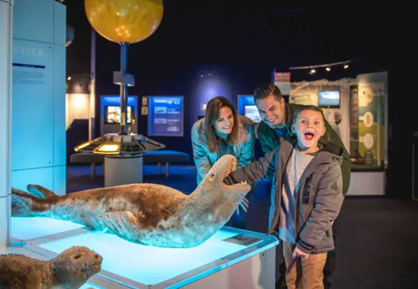 Antarctic Centre Picture 4