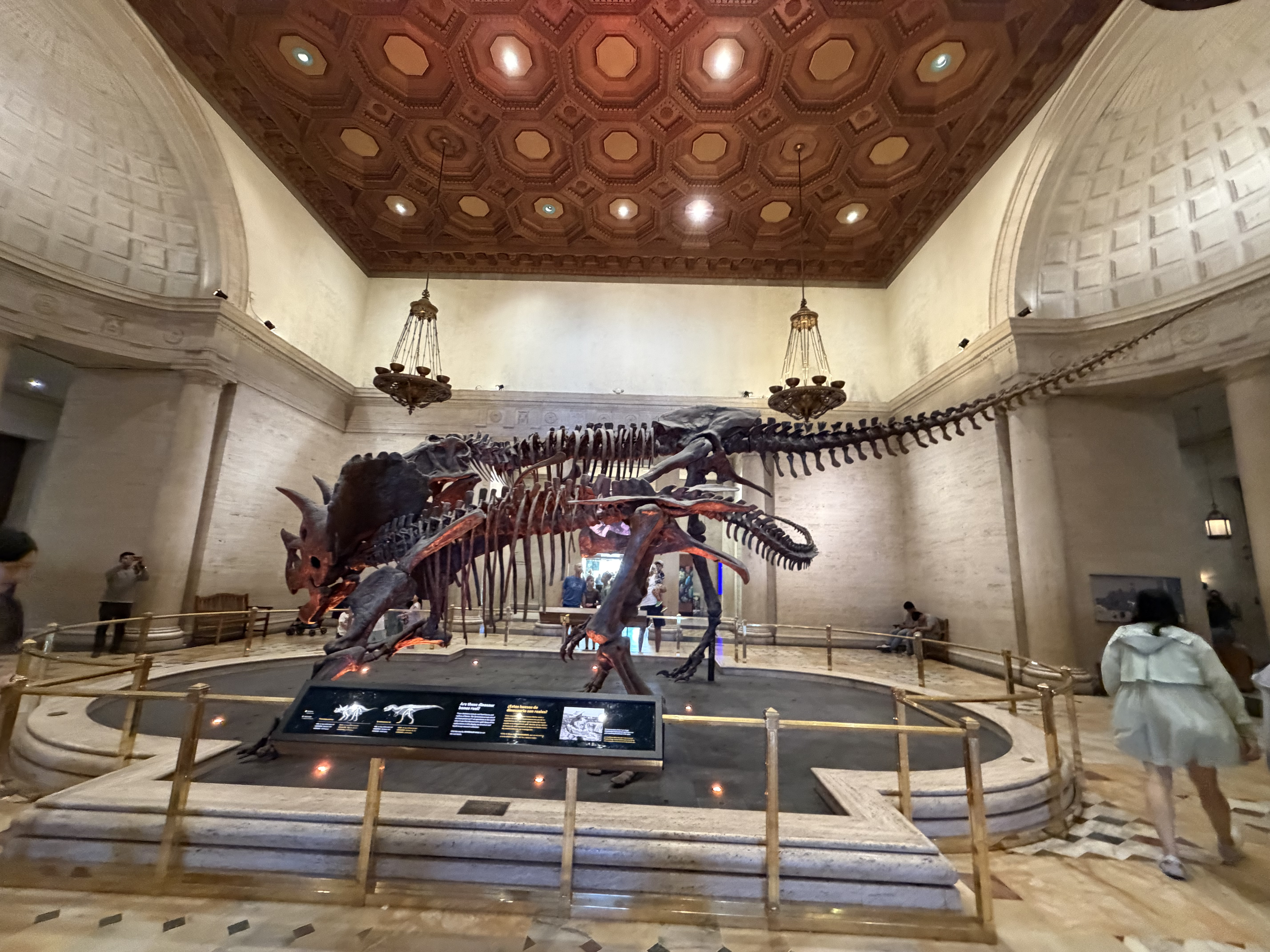 Natural History Museum Interior 2