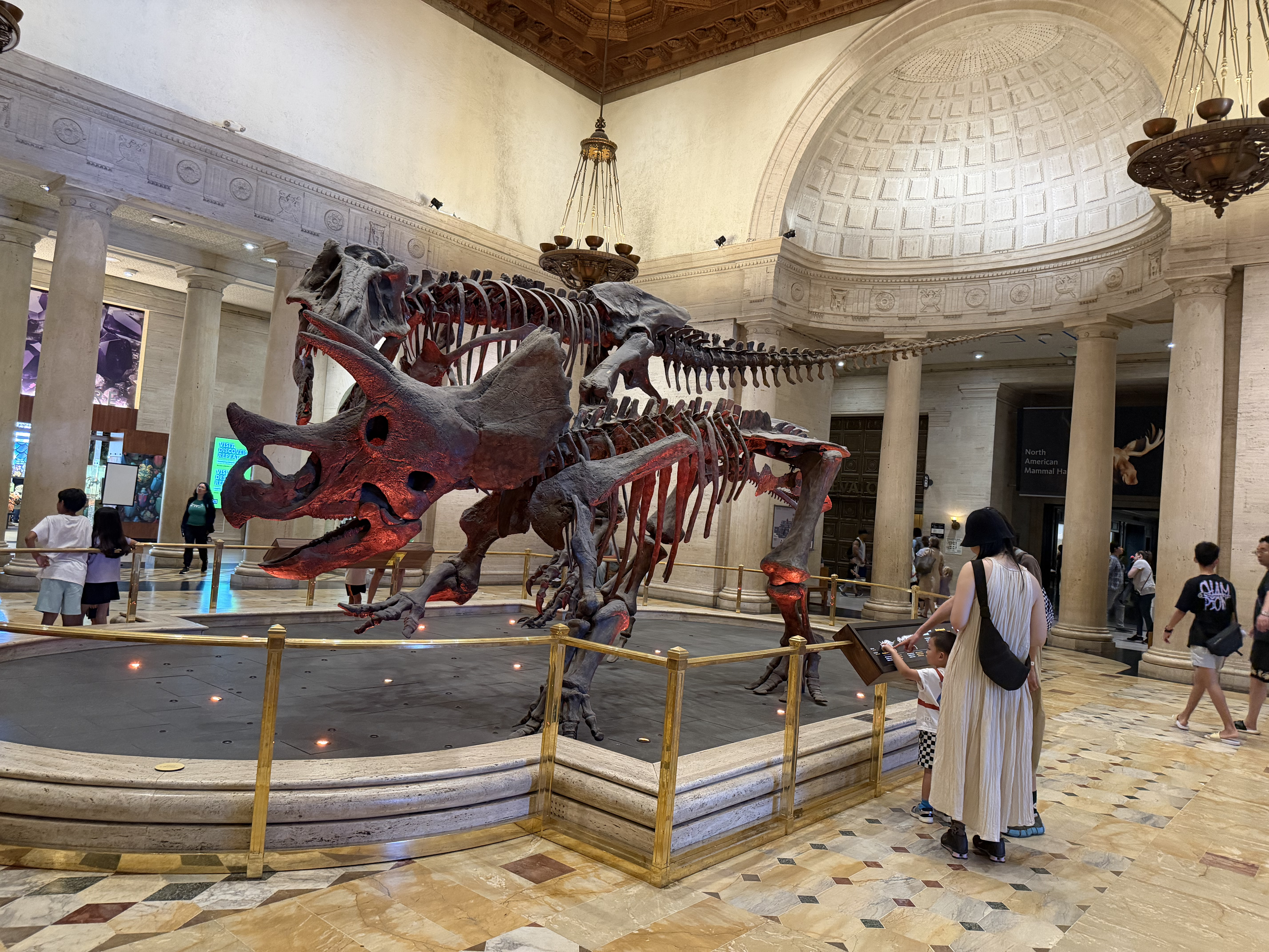 Natural History Museum Interior 3